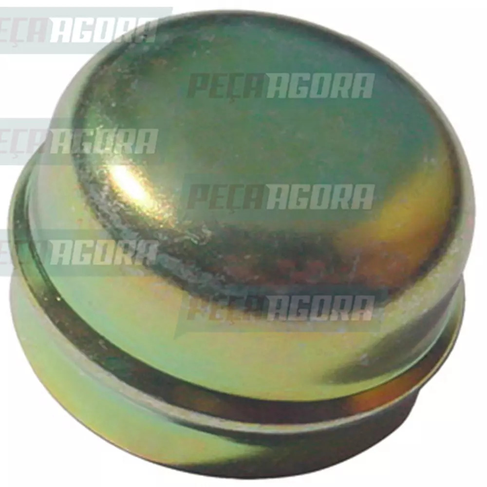 CALOTA CUBO RODA GRAXETA GOL GOLF PASSAT SANTANA SAVEIRO VOYAGE PARATI (30550124