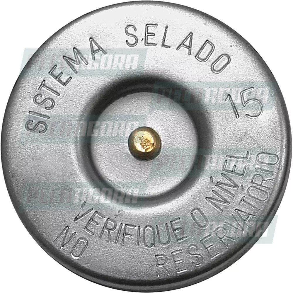 TAMPA RADIADOR GM BLAZER CARAVAN OPALA S-10 SILVERADO 15 LBS (5066447.-.)