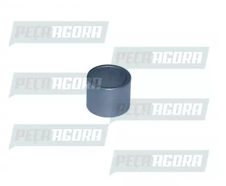 CAIXA 10 BUCHA CATRACA FREIO MANUAL E AUTOMATICA VW 7100 7110 8120 8140 8150 915