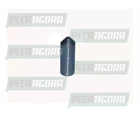 CAIXA 10 PINO ARRUELA SATELITE CUBO REDUTOR VOLVO TODOS (CX.942457**10)