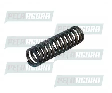 MOLA INTERNA VALVULA ESCAPE PARA SCANIA SERIE 4 (1307116)