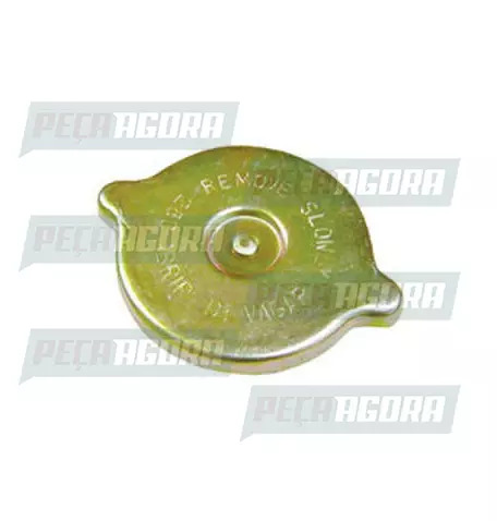 TAMPA RADIADOR PARA SCANIA 111/T112 FERRO MIW (213110)