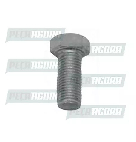 PARAFUSO CINTO SEGURANCA (168007)