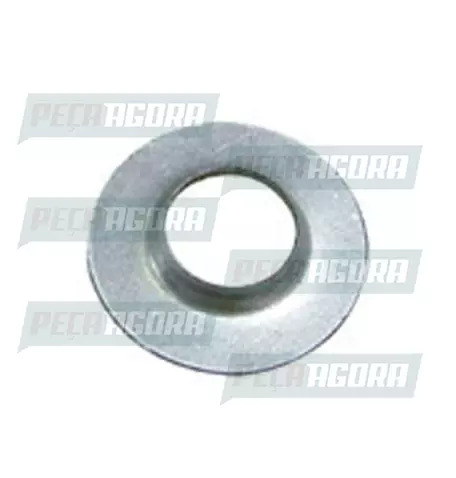 ARRUELA DO CINEMATICO GUARDA PO RODOAR (200246)