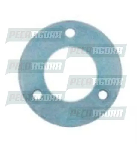 ARRUELA DO SUPORTE CALOTA P/CINEMAT FURO CENTRAL GRANDE RODOAR (200319)