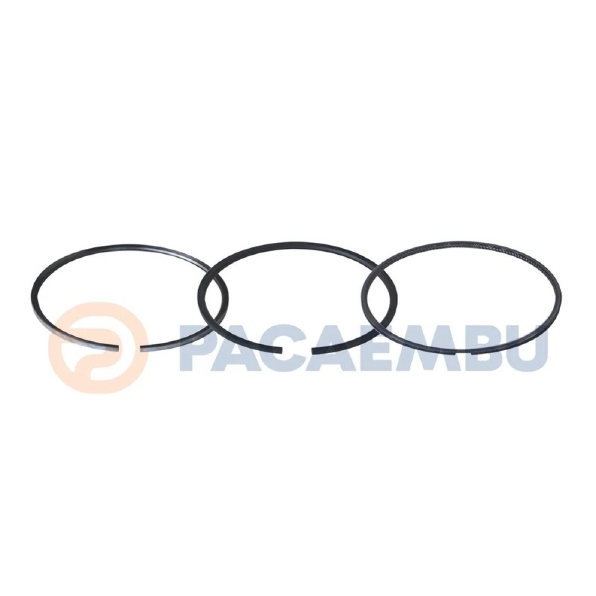 ANEL MOTOR 1 CILINDRO STD SCANIA F/K/P250/270/310CV C/MOTOR DC09 5CIL - EURO 5 (