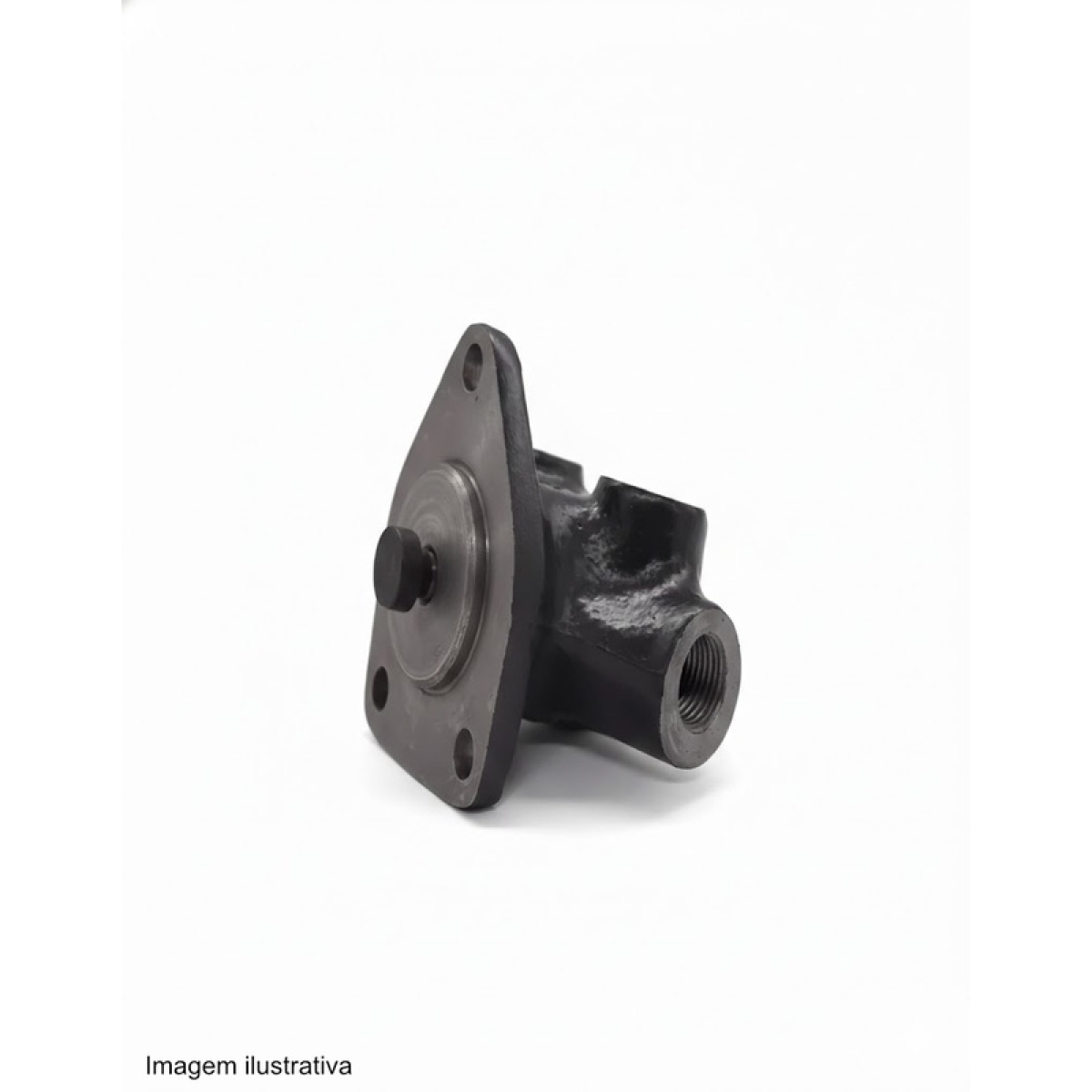 REPARO BOMBA ALIMENTADORA DIVERSOS MB C/BOMBA INJETORA - MODELO(S): DIVERSOS (00