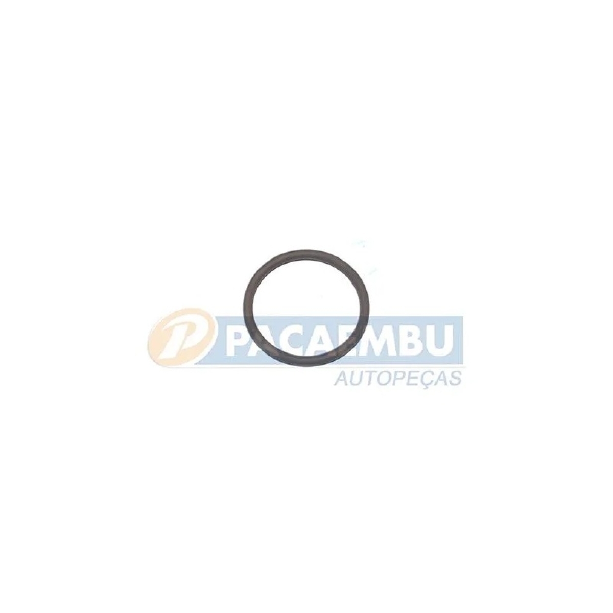 ANEL ORING VW/FORD- CAMBIO RT (TJG312105H-021209)