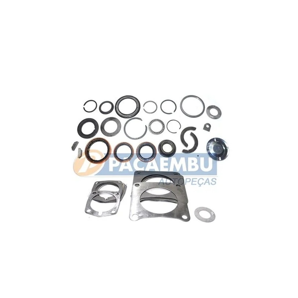 REPARO DE AJUSTE E VEDACAO FS5005 (3002507)