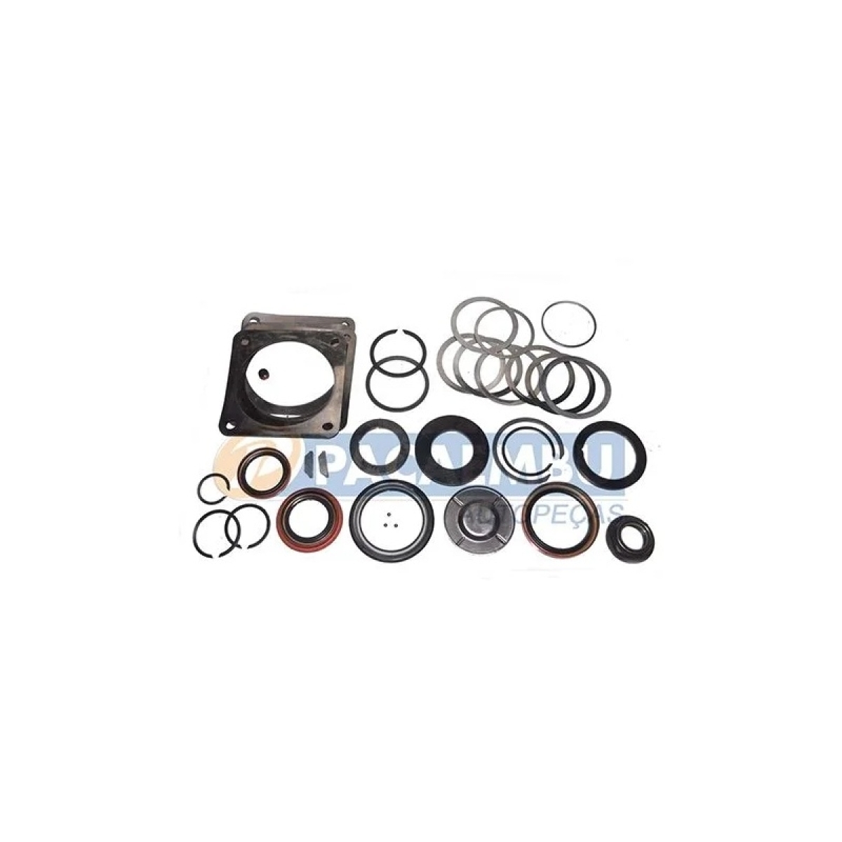 KIT REPARO AJUSTE/VEDACAO CX.TRANSMISSAO FS6206 (3002537.)