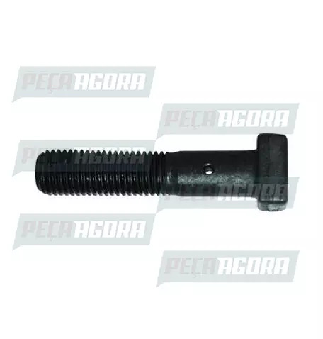 PARAFUSO CONJUNTO  RODA CARRETA 16X2.0X75 (170795012X)