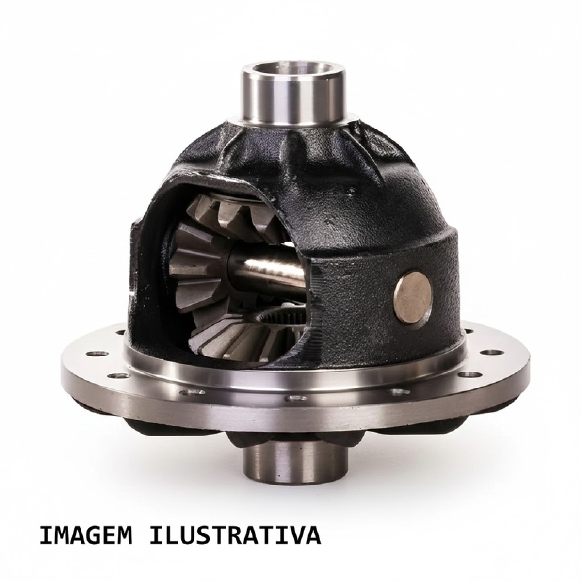 CAIXA DIFEREN CPL (10X41) AGRALE 6000 4X2 MWM SPRINT 4.07 TCA-131 CV TRAS 01/01 
