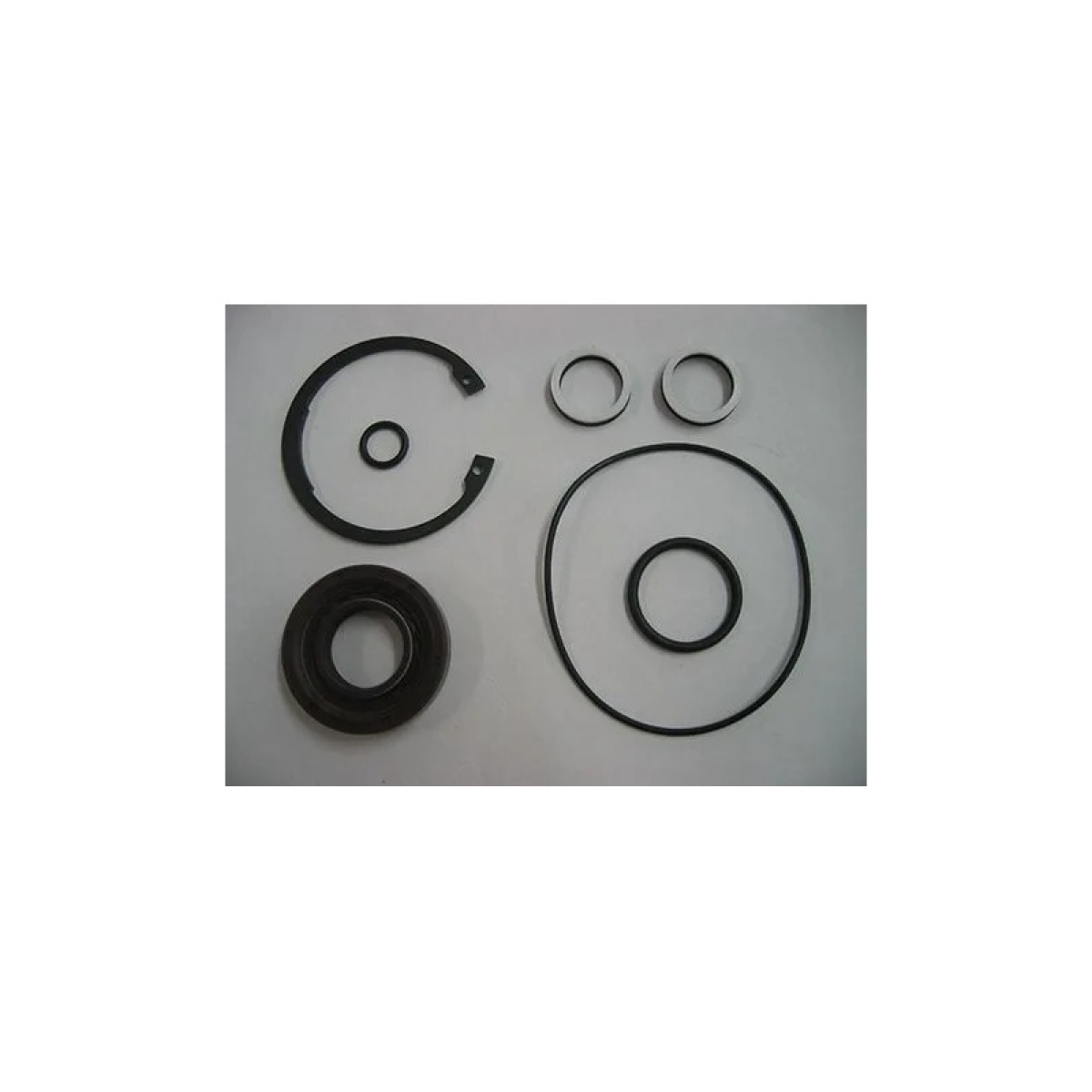 KIT REPARO BOMBA HIDRAULICA BOMBA LUK SCANIA S/K/T/R113/114 (543003510-59815K)