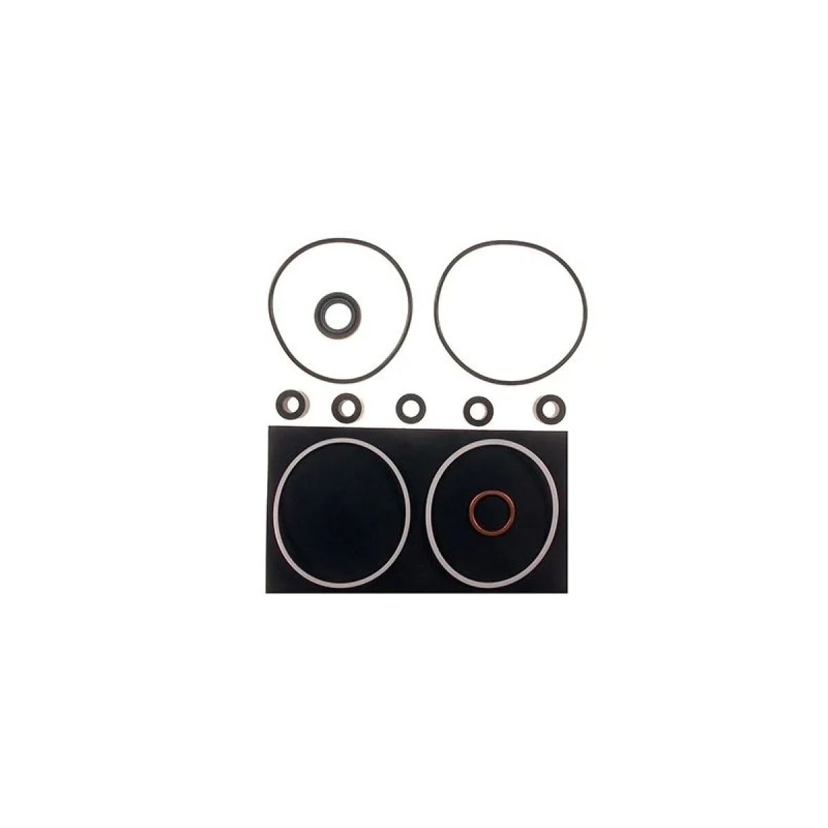 REPARO BOMBA OLEO SCANIA/ZF B111/T112/R112/L/LS/LT/LK111/BR116 (59804K)