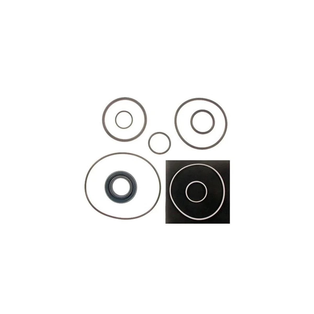 REPARO DIRECAO HIDRAULICA MB/ZF-OM449LA/OM447LA/OM366A/CAM.L98/O400(MT.BR450) (5