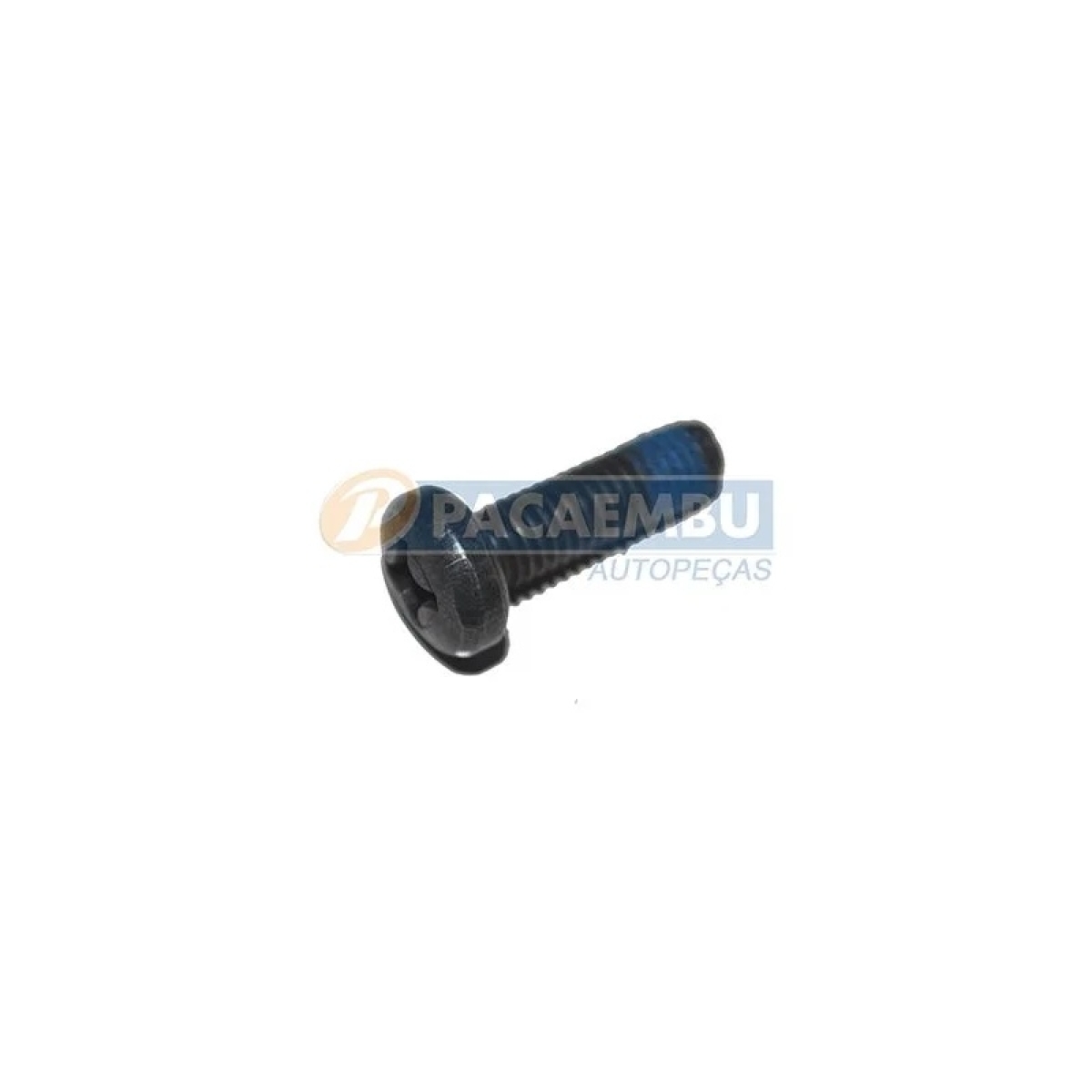 PARAFUSO PHILIPS M6X20 APU (8912019394)