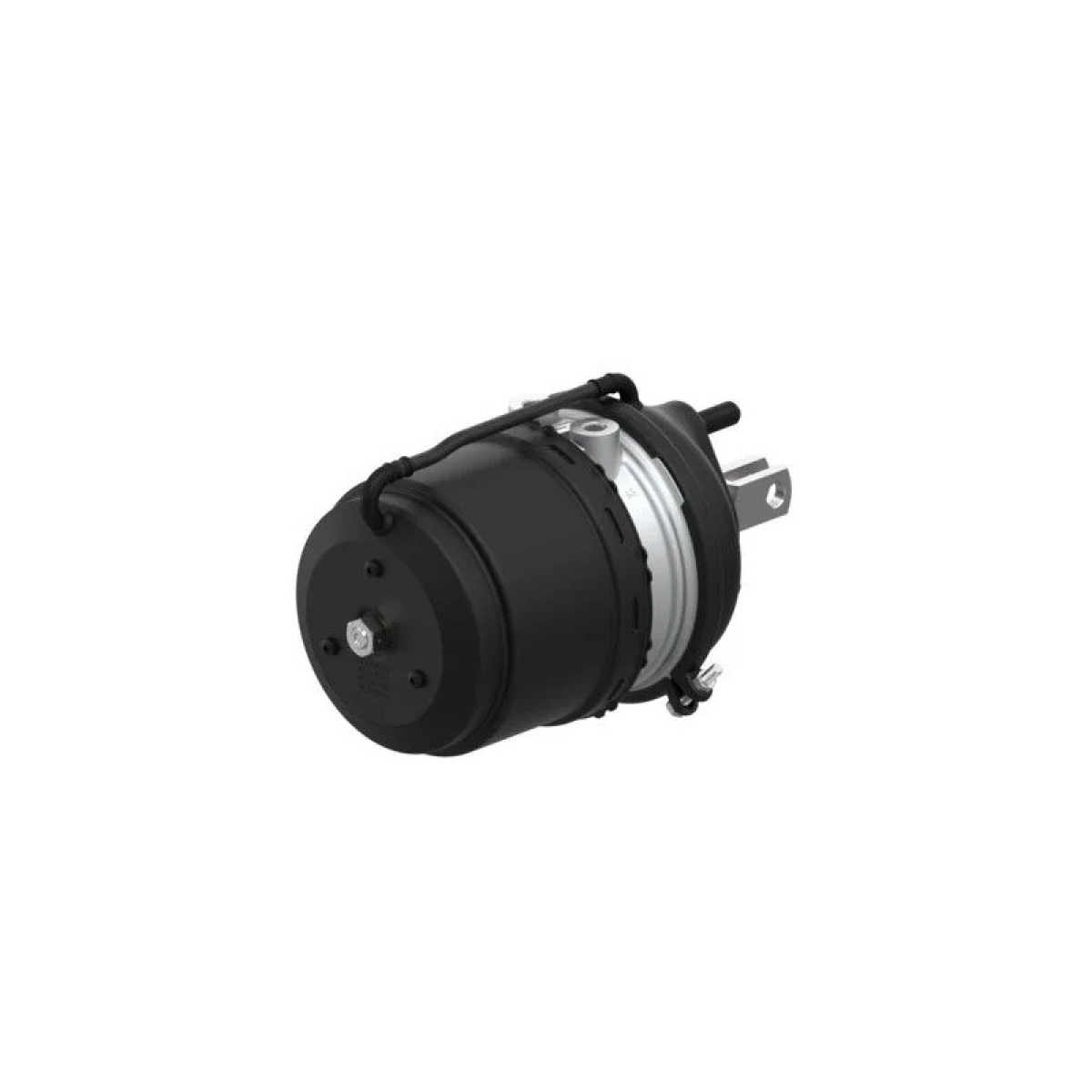 CAMARA FREIO TRISTOP 30X30 BAIONETA LD SCANIA - F113HL/K113CL/K113TL/P114 (4X2)/