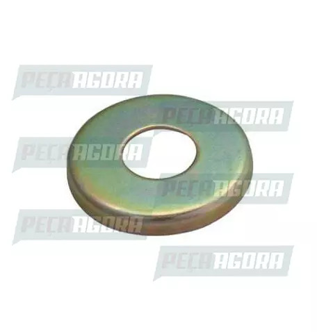 ARRUELA DO CINEMATICO ENCOSTO METAL RODOAR (200245)