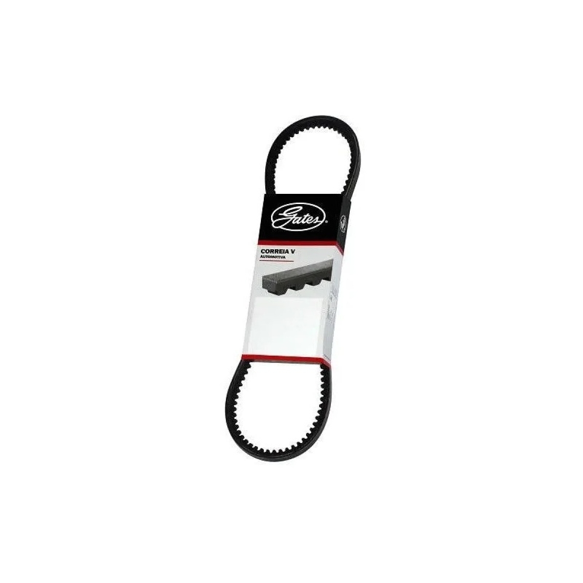 CORREIA MICRO V VB/AT/BA MEDIDA ESPECIAL (10X1095)