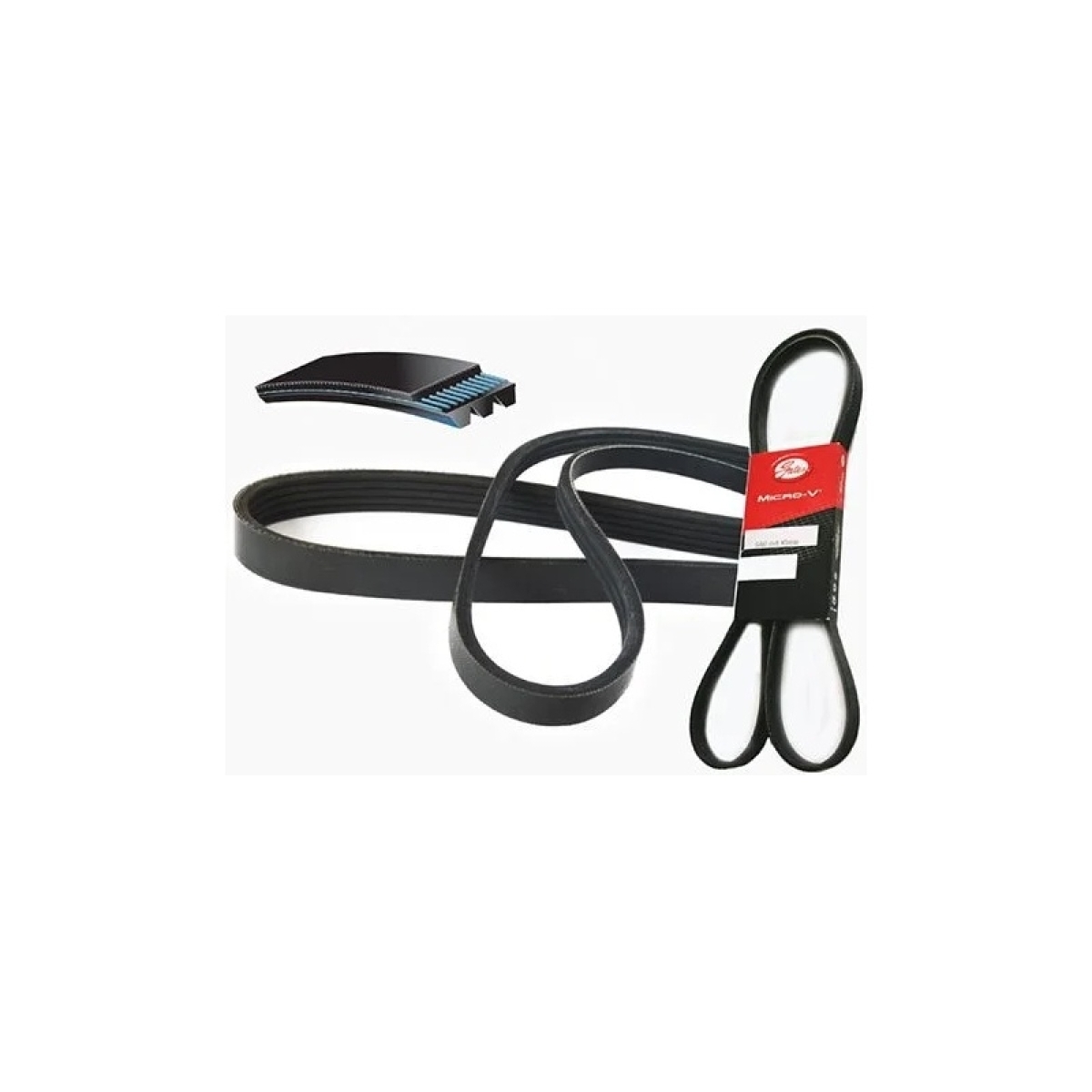 CORREIA POLY V (0149970492-9)