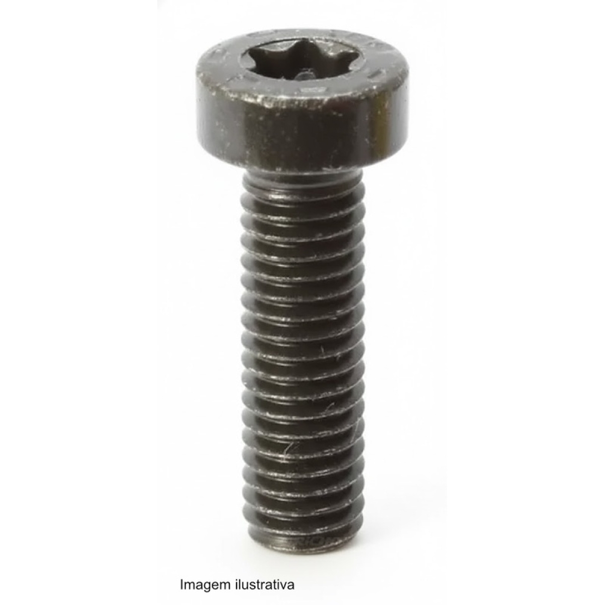 PARAFUSO TORX SCANIA/VOLVO - BOMBA INJETORA (380799-2423414007)