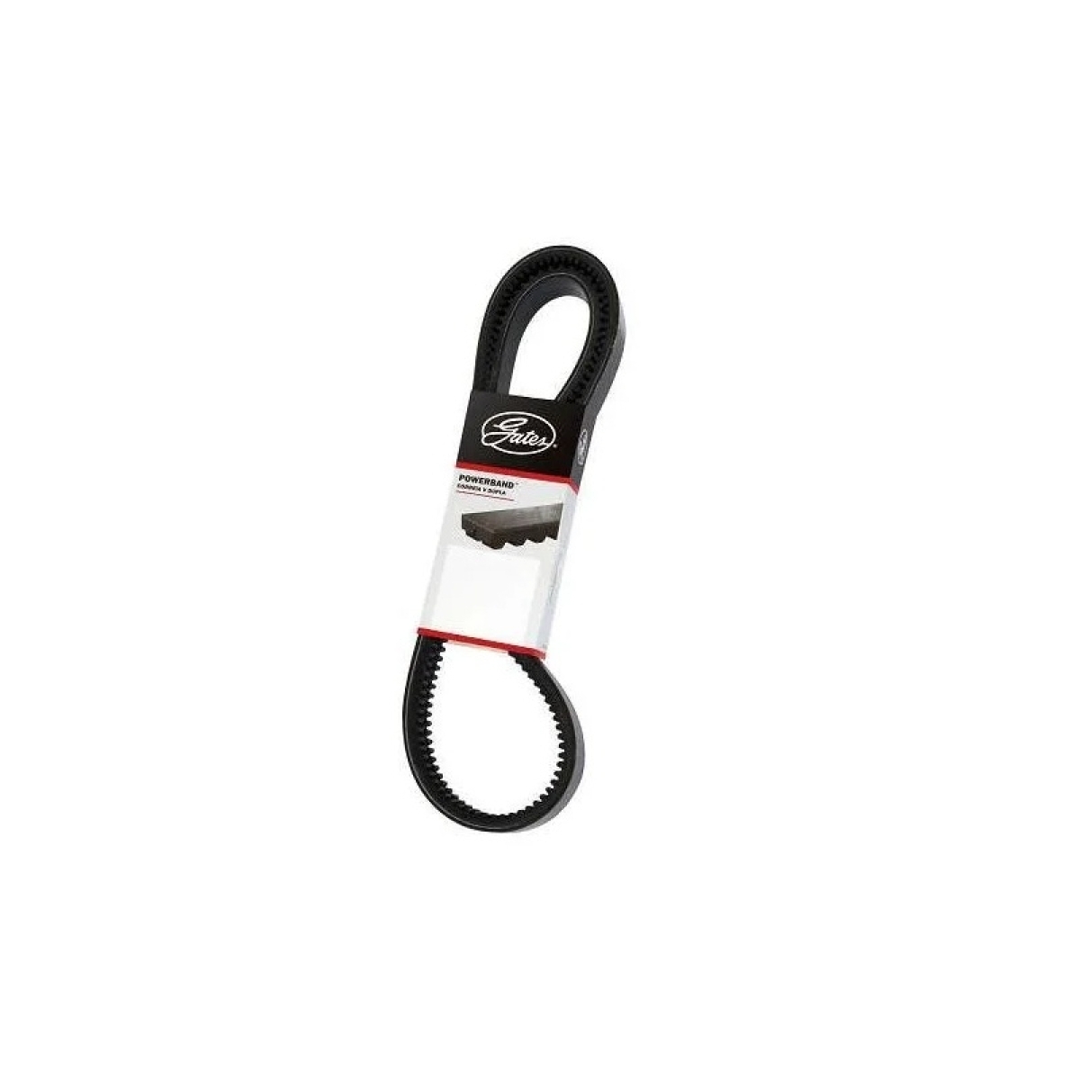 CORREIA DUPLA AR COND DENTADA 2X17X2230 AR CONDICIONADO ONIBUS (2BXS86AC)
