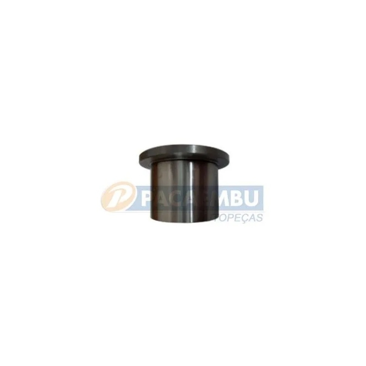 BUCHA PISTA ROLETES ENGR. QUARTA FORD/ GMC/ AGRALE CX CL2615C (6006004109006-331