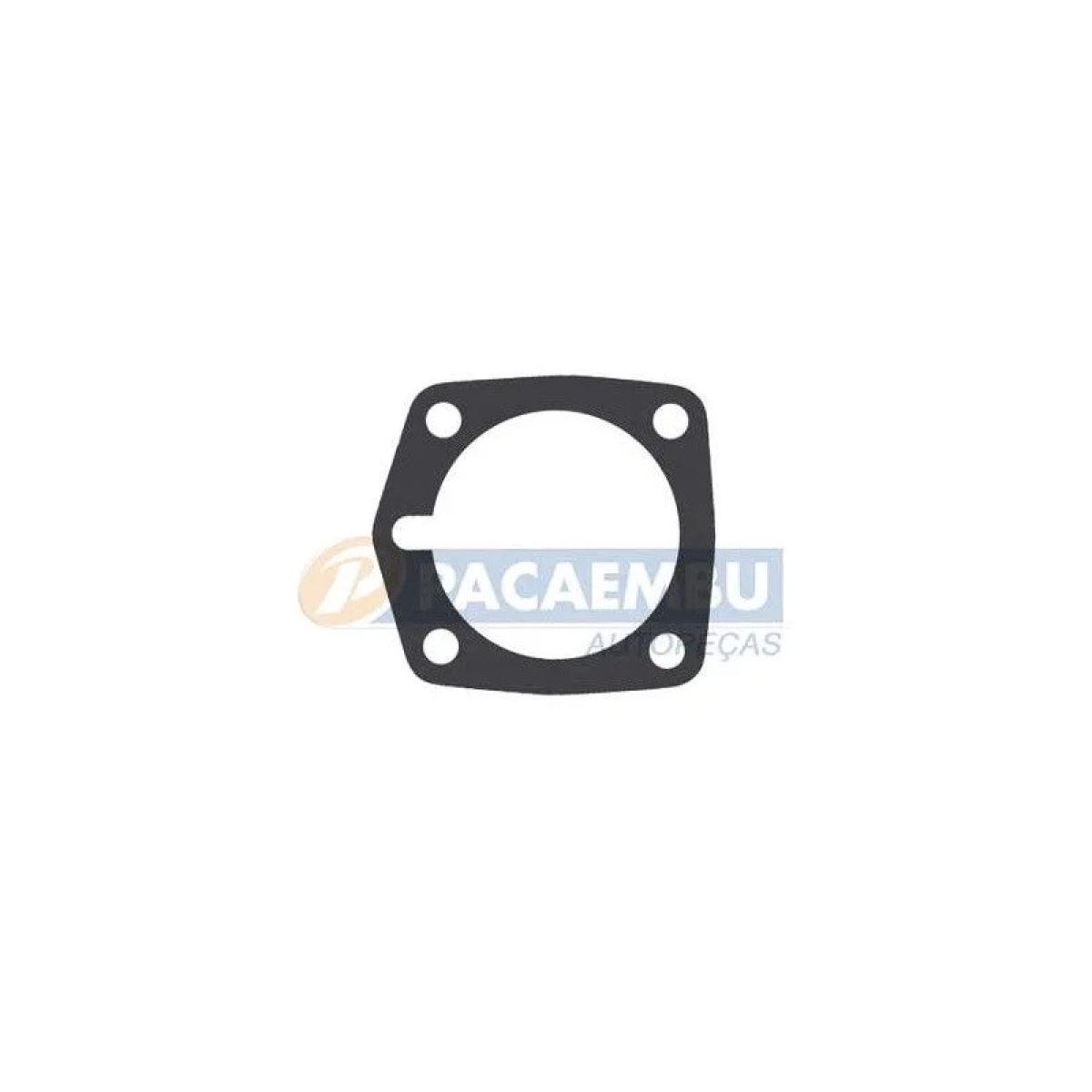 CALCO DE ACO                            FS4205 (12542935-2RG301235A-4300980)