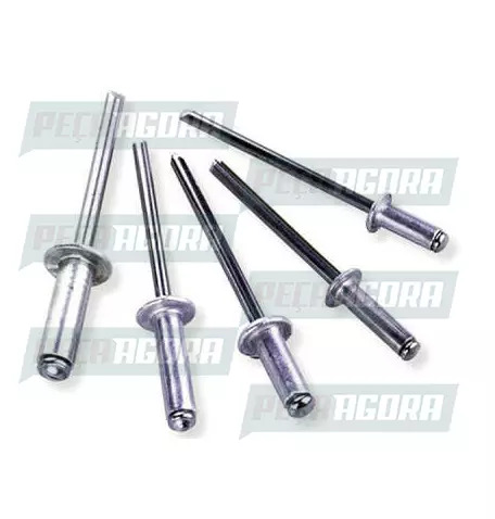 REBITE TIPO R-310 (COM 1000 PECAS) (193001)