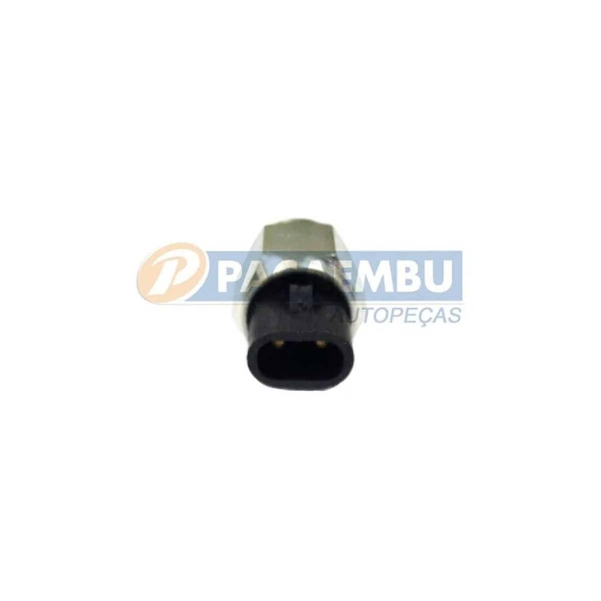 INTERRUPTOR LUZ RE AGRALE MA 8.5 TCA- MICROBUS FS4205A (TJG312115-3315631)