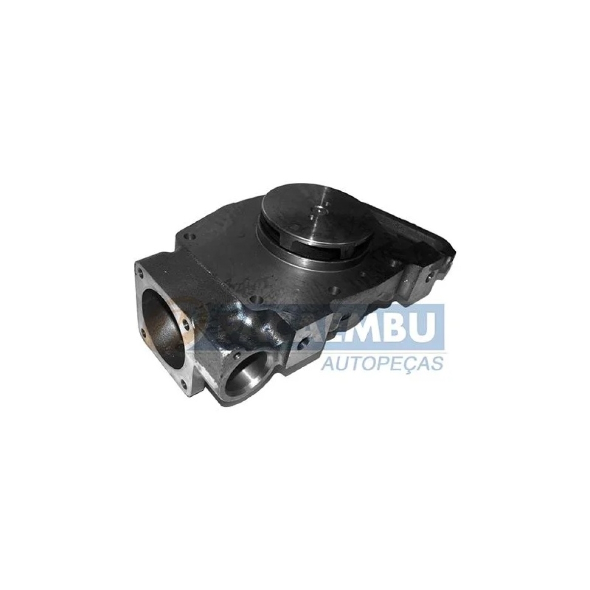 BOMBA DAGUA FORD CARGO / VW (UB0732)