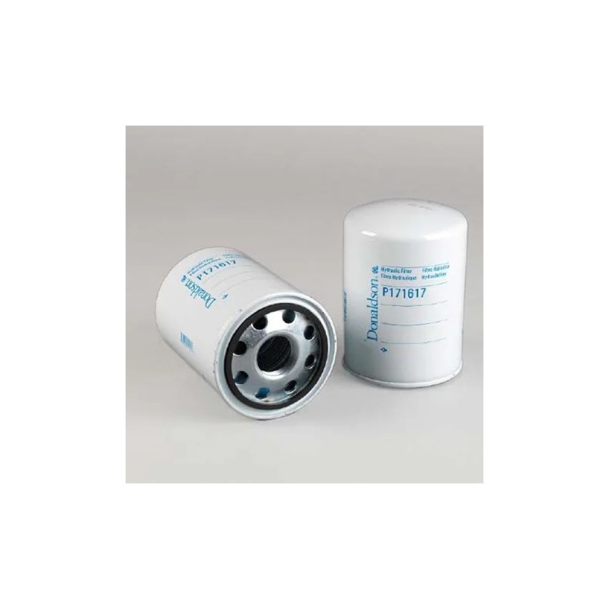 FILTRO HIDRAULICO EQUIPAMENTO H5007 (P171617)