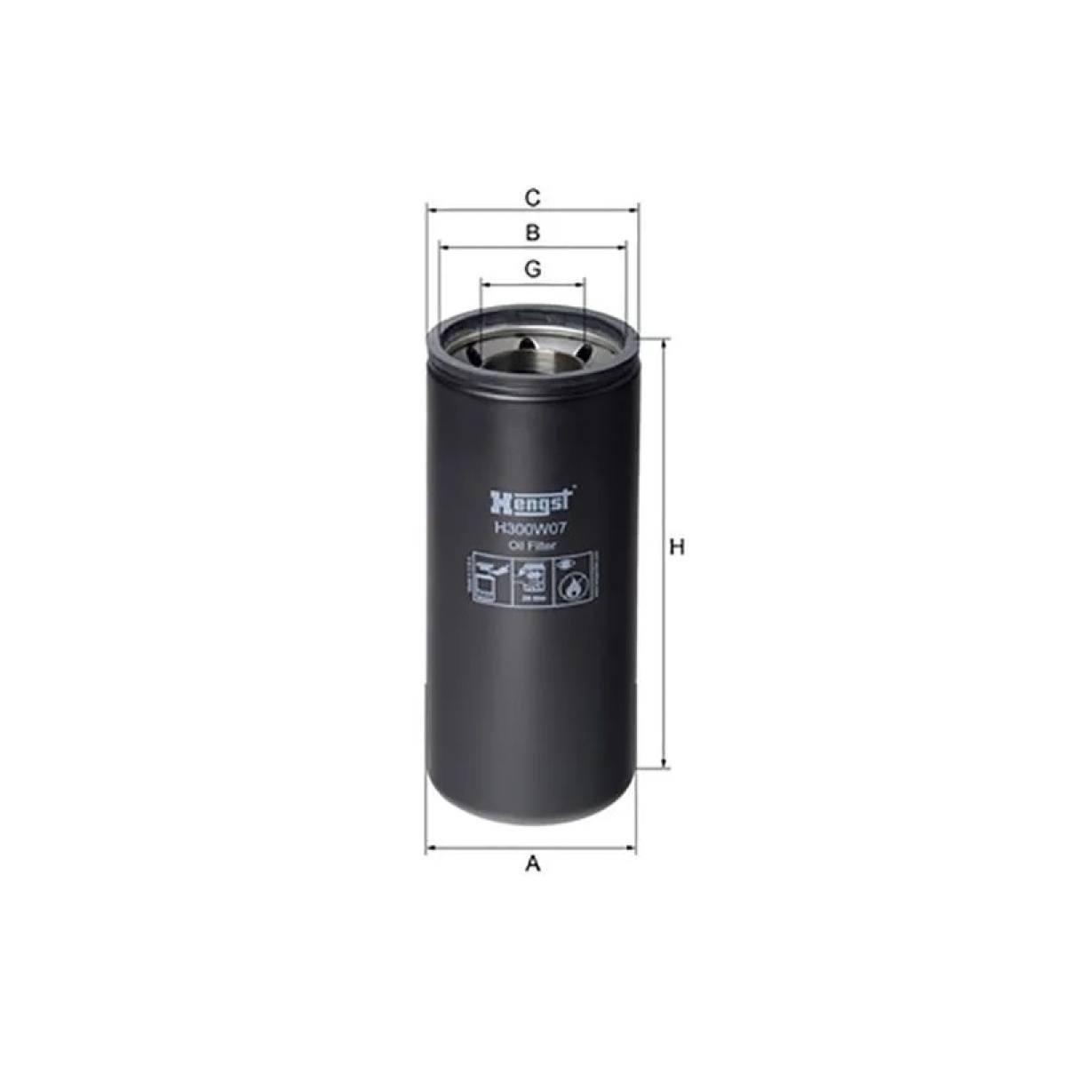 FILTRO LUBRIFICANTE (H300W09)