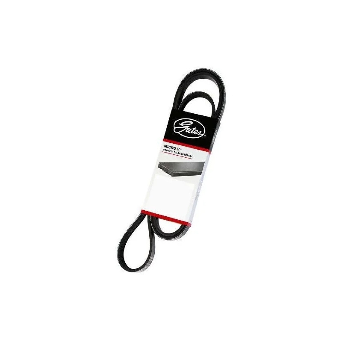 CORREIA 297-7825 (2977825)