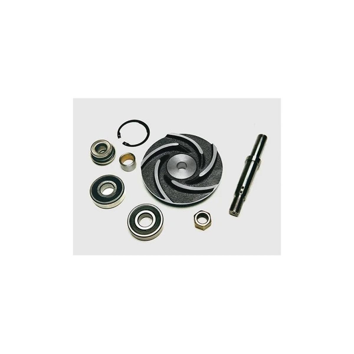 REPARO BOMBA AGUA CBT 1090A FORD F11000/F600/F7000 GM A60/A70/C60/C70/D60 MOTOR 