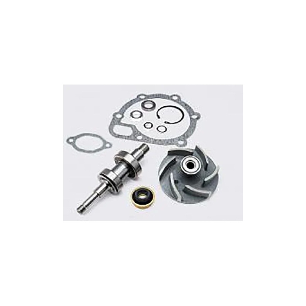REPARO BOMBA AGUA C/ROLAMENTO SCANIA L/LS/LT111 (550044-VBA983RL)