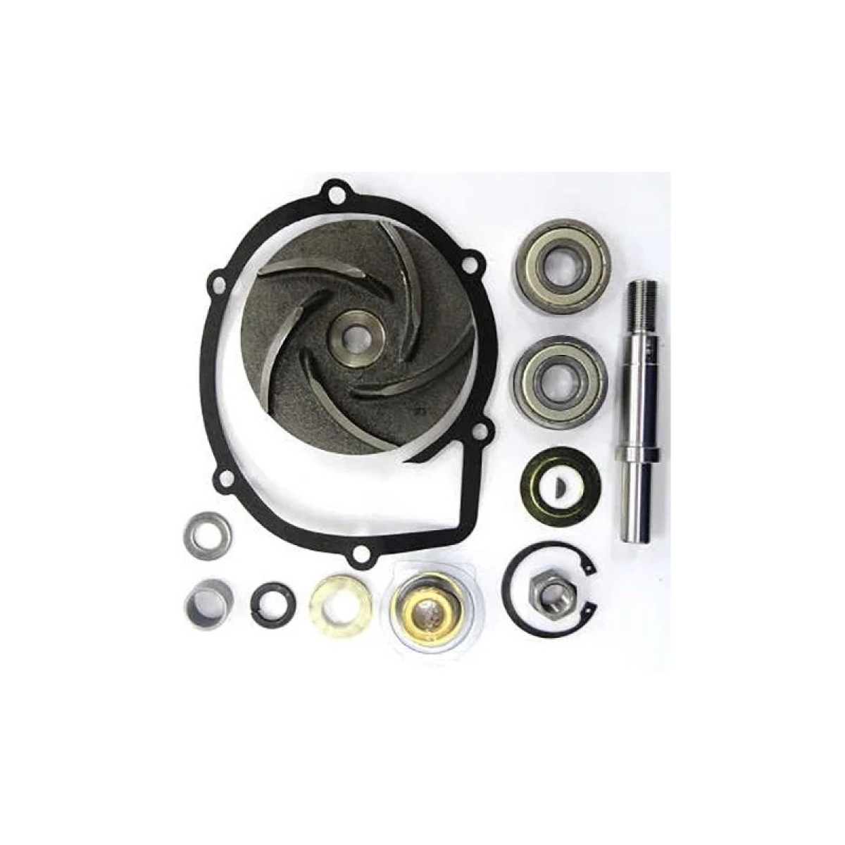 REPARO BOMBA AGUA C/ROLAMENTO S/POL F600/7000/11000 MOTOR 6.357 4CIL. (P635714A-
