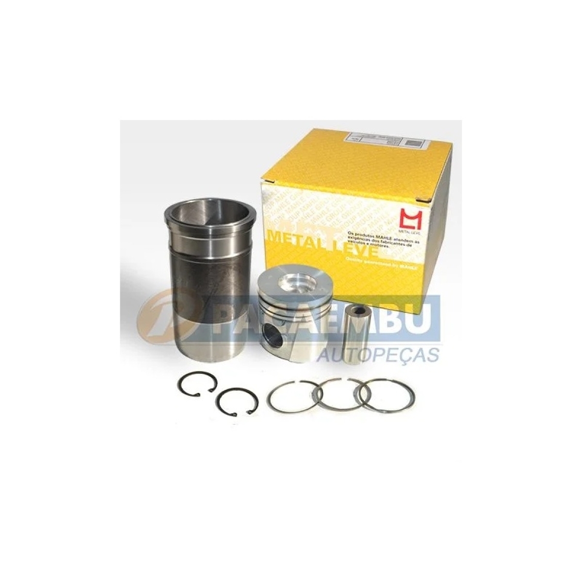 KIT MOTOR MWM X10 MOTOR MWM 6.10 - VW 14150 / 14200 / 1618 (2R0198075Q)