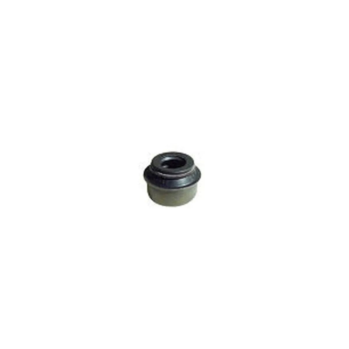 RETENTOR HASTE VALVULA MB-SPRINTER 310D/MOTOR HS 2,5/S10/BLAZER/F1000/RANGER (00
