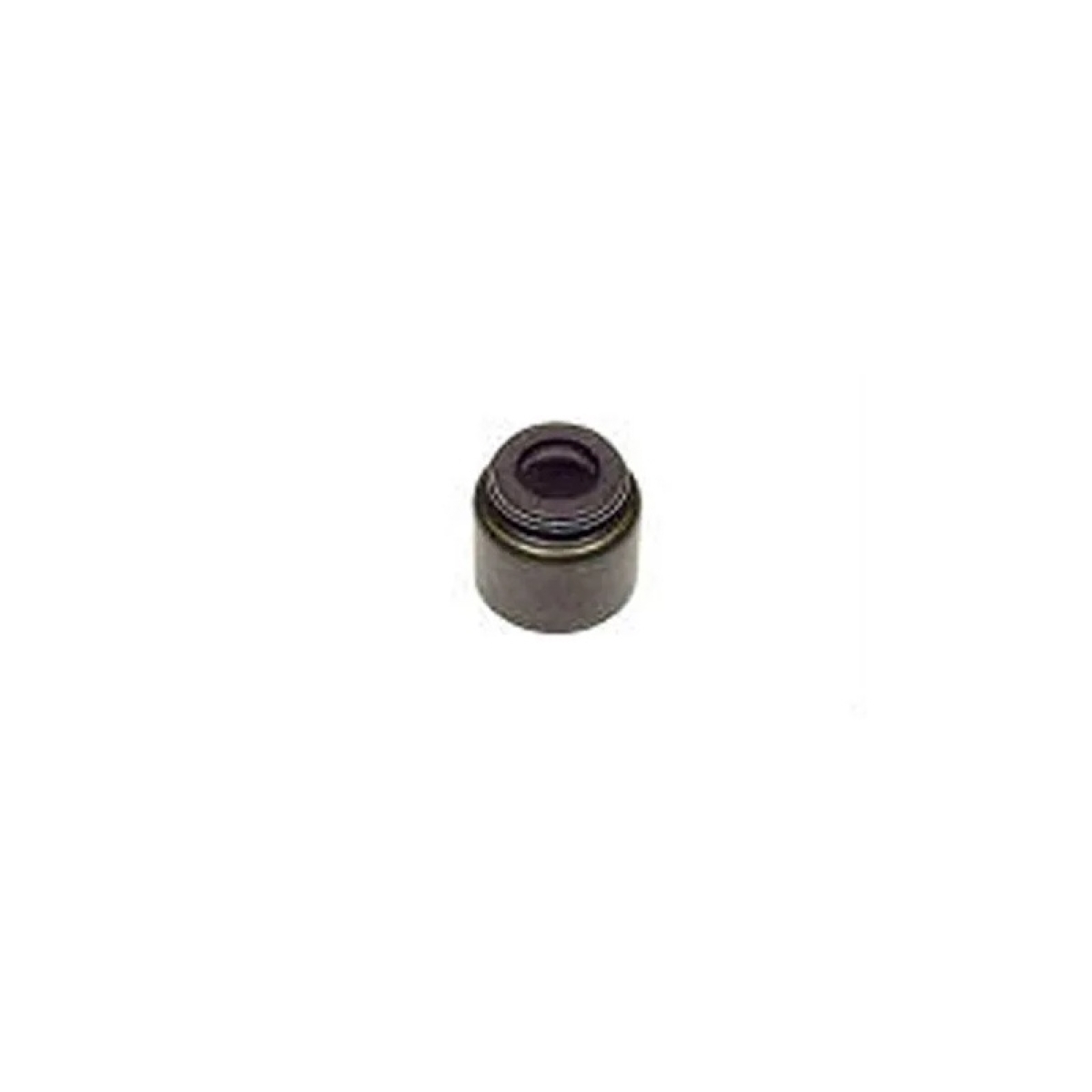 RETENTOR HASTE VALVULA TOPIC 2.7L (8X13X10) (09262BAEF)