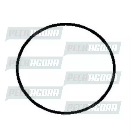 BORRACHA VIDRO LATERAL PARA SCANIA L111 SEM MACARRAO JAN.FIXA (180761.)