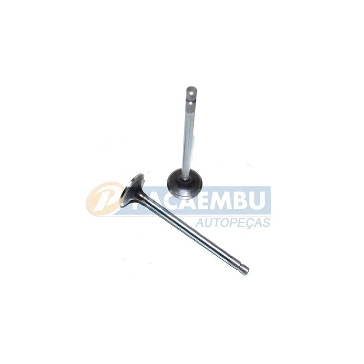 VALVULA ADMISSAO CUMMINS ISC/ISL 19320/25320/17330/24330/31320/2932E/4532E/C1 (V