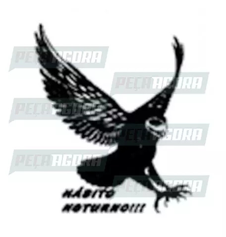 ADESIVO PLOTADO GRANDE CORUJA HABITO NOTURNO BRANCO (003104)