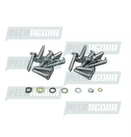 PARAFUSO FORRO PORTA (KIT COM 20 PARAFUSOS)COM ARRUELA E CAPINHA (419233)