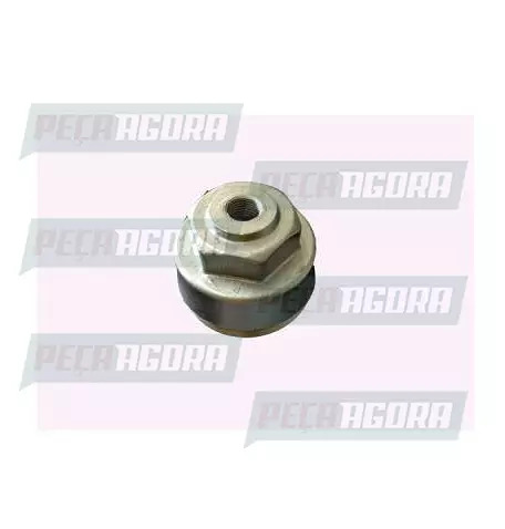 FLANGE DIANTEIRA COM ROSCA VOLARE AGRALE W 8 RODOAR (458158)