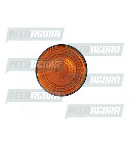 LANTERNA TRASEIRA FACCHINI/ONIBUS RANDON SEM SOQUETE AM 125MM (458658)