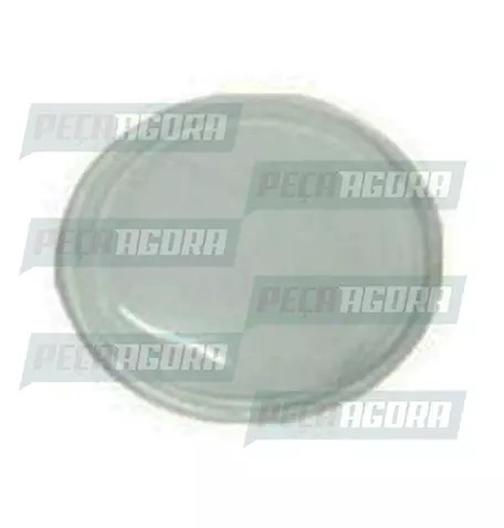 PAR PROTETOR ACRILICO PISCA VOLKSWAGEN CONSTELLATION 19320/25370 (448378)