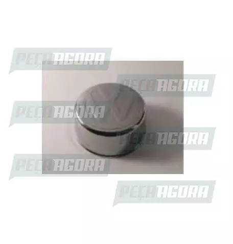 SOBRE TAMPA DO CUBO DIANTEIRA VOLKSWAGEN DELIVERY CROMADA (456784)