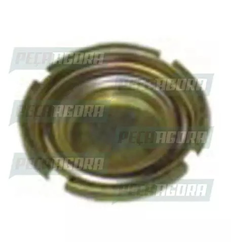 TAMPA DO FURO DA BOIA SEM RESPIRO PARA SCANIA 112/113 (273120.)