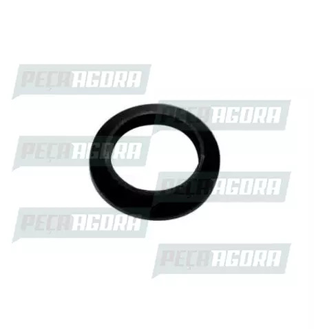 ANEL VEDACAO CILINDRO DA PORTA FORD CARGO 1985 A 2011 (81DBE22042AAYYA)